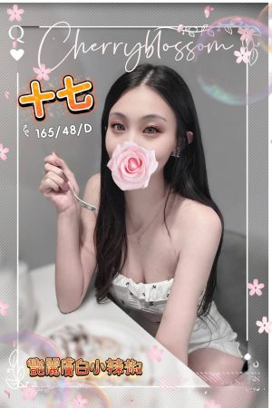 <strong>台南汽車旅館約妹<hr>妹名:十七<hr>標籤:台南汽旅外約<strong>